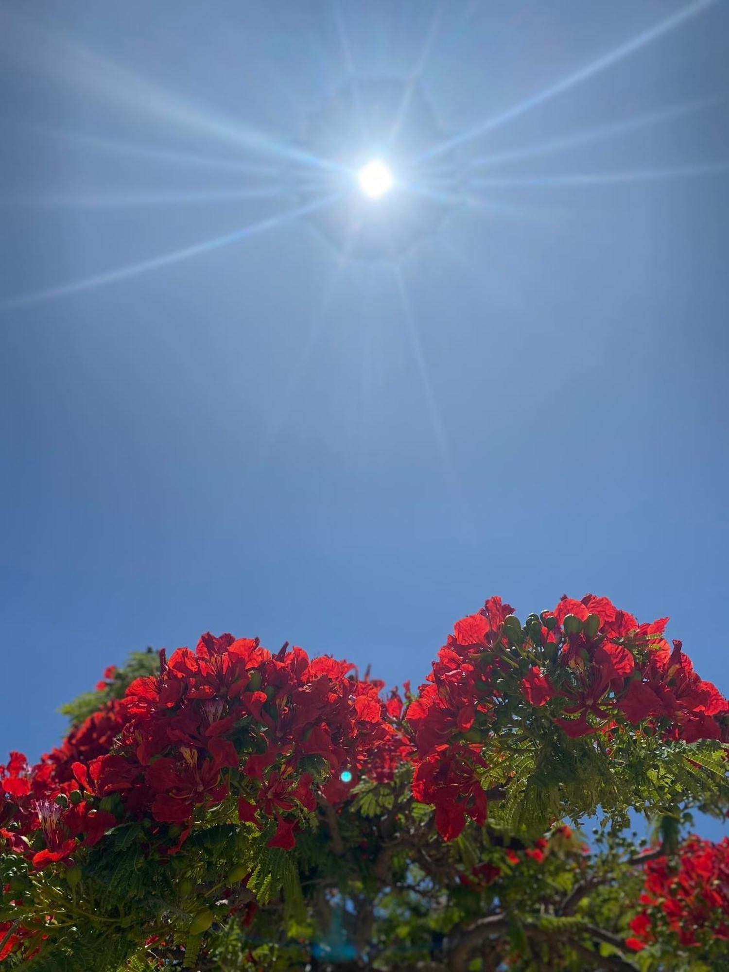 Tisalaya Bright Apartment Maspalomas  Ngoại thất bức ảnh
